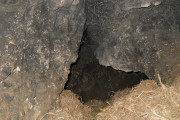 Jaskinia Borsucza