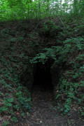 Jaskinia Dziewicza