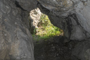 Jaskinia Przegińska
