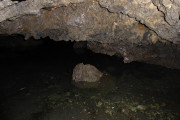 Jaskinia Żydowska
