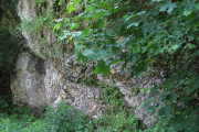 Skałki jurajskie w Dolinie Szklarki